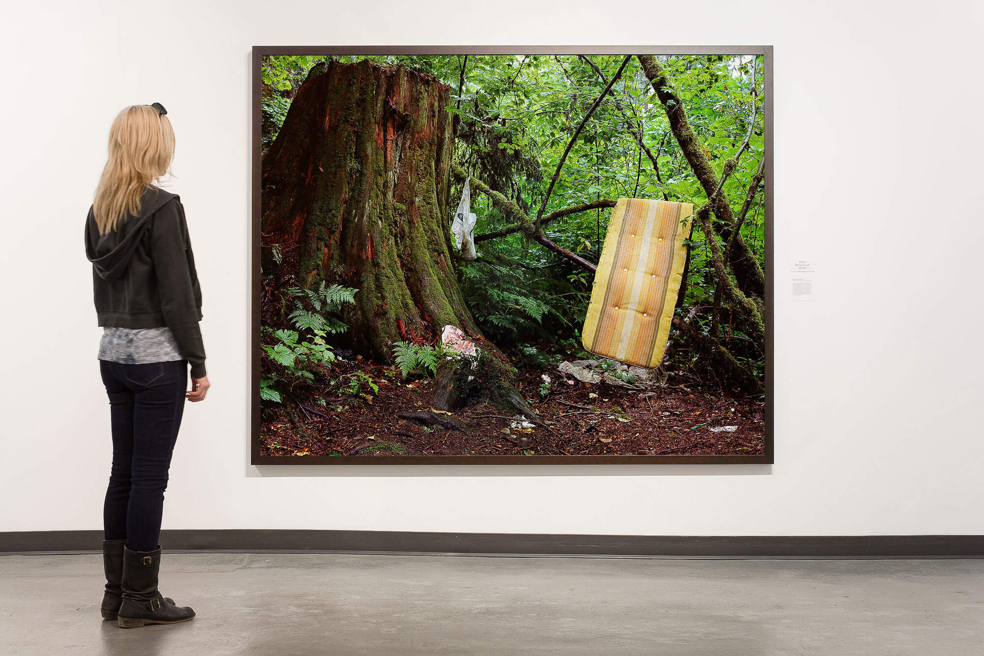 Exit 83 (Franciscan Idyll), 2010, transmount C-print, 89 x 79.75