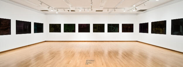 Raymond Boisjoly: (And) Other Echoes, installation view, SFU Gallery, 2013