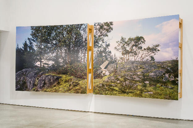 no. 5: The Bluff (Pursuant to Supreme Court of B.C., Vancouver Registry #S062778), 2007, Lightjet prints on Sintra, rotary oak plywood, and brass and steel screws, 180 x 68 x 20