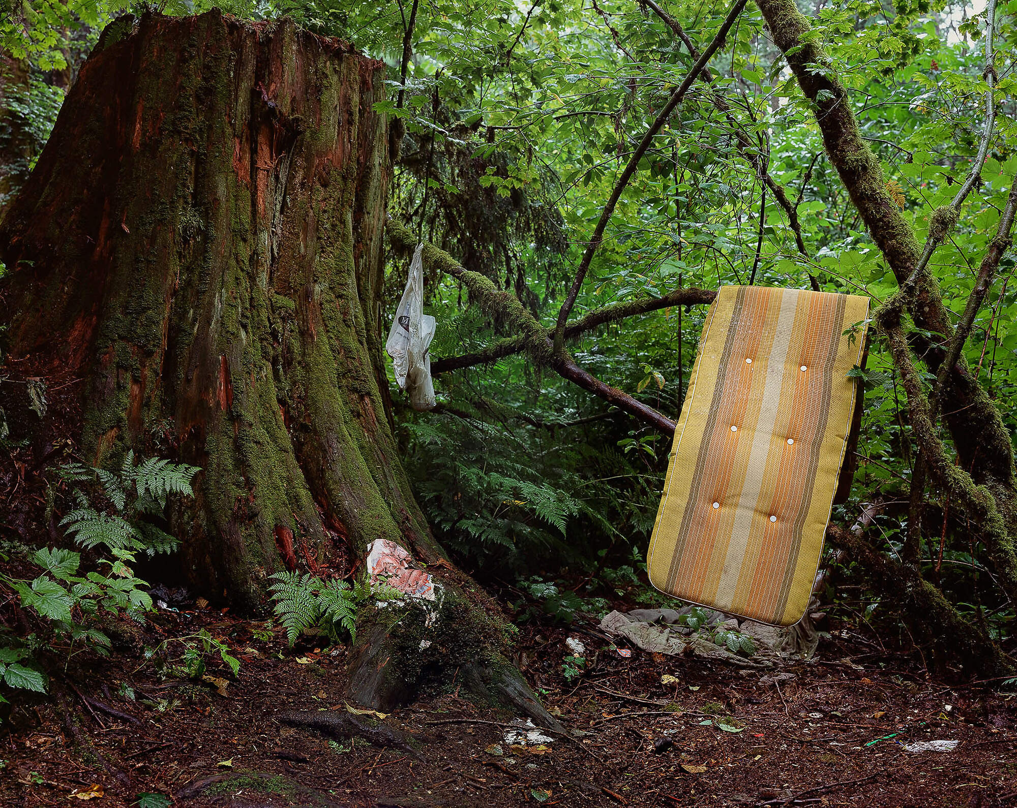 Exit 83 (Franciscan Idyll), 2010, transmount C-print, 89 x 79.75